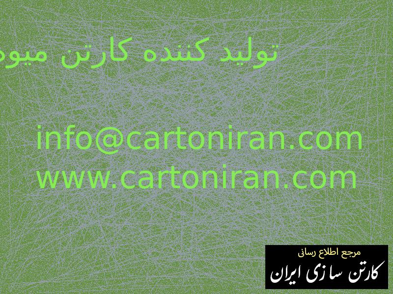 تولید کننده کارتن میوه