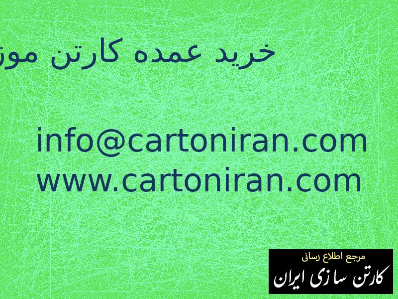 خرید عمده کارتن موز