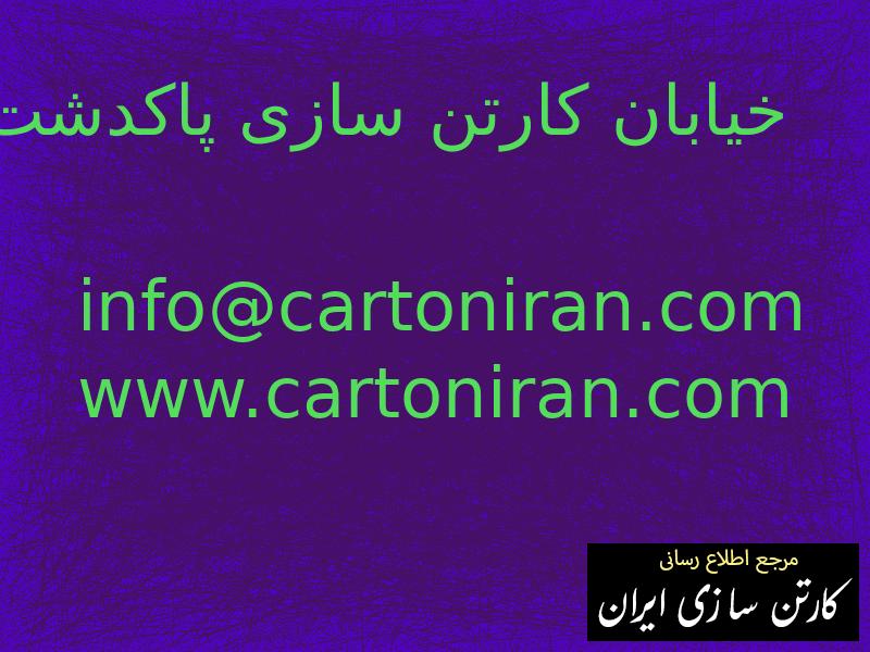 خیابان کارتن سازی پاکدشت