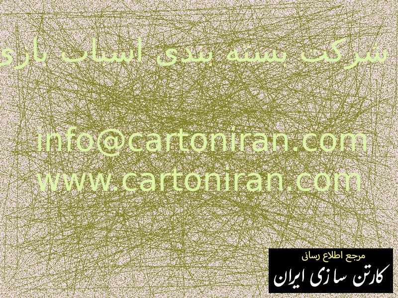 شرکت بسته بندی اسباب بازی