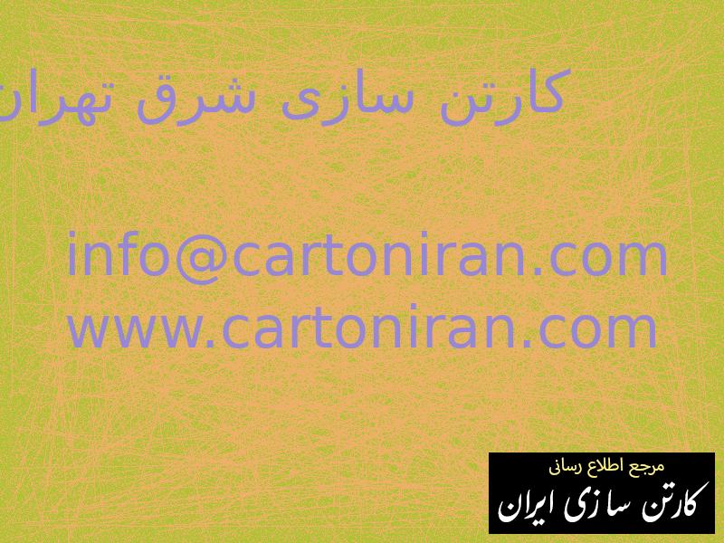 کارتن سازی شرق تهران