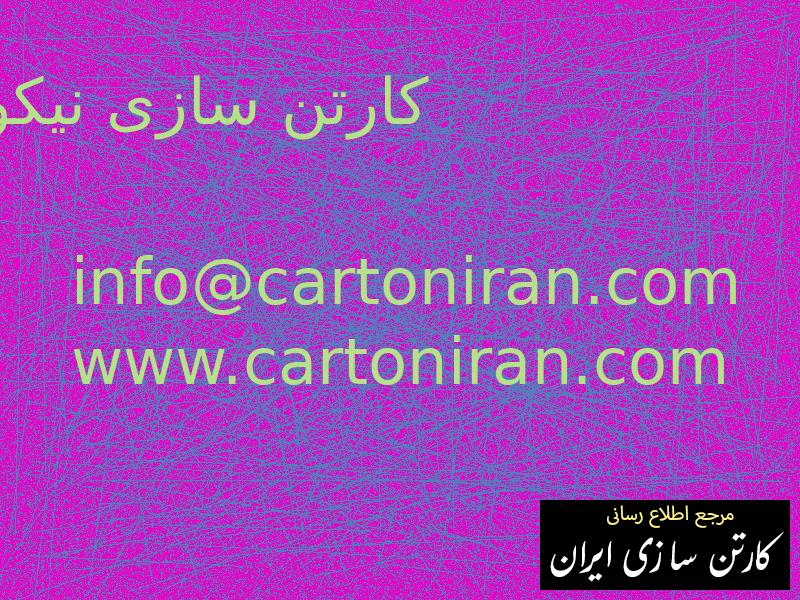 کارتن سازی نیکو