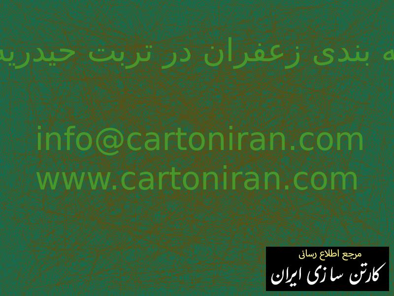 کارخانه بسته بندی زعفران در تربت حیدریه