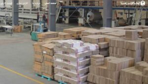 کوشا کارتن صبا